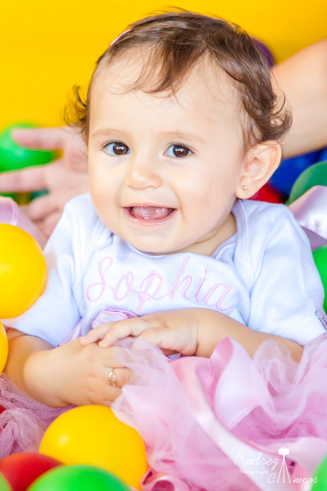 aniversario infantil florianopolis