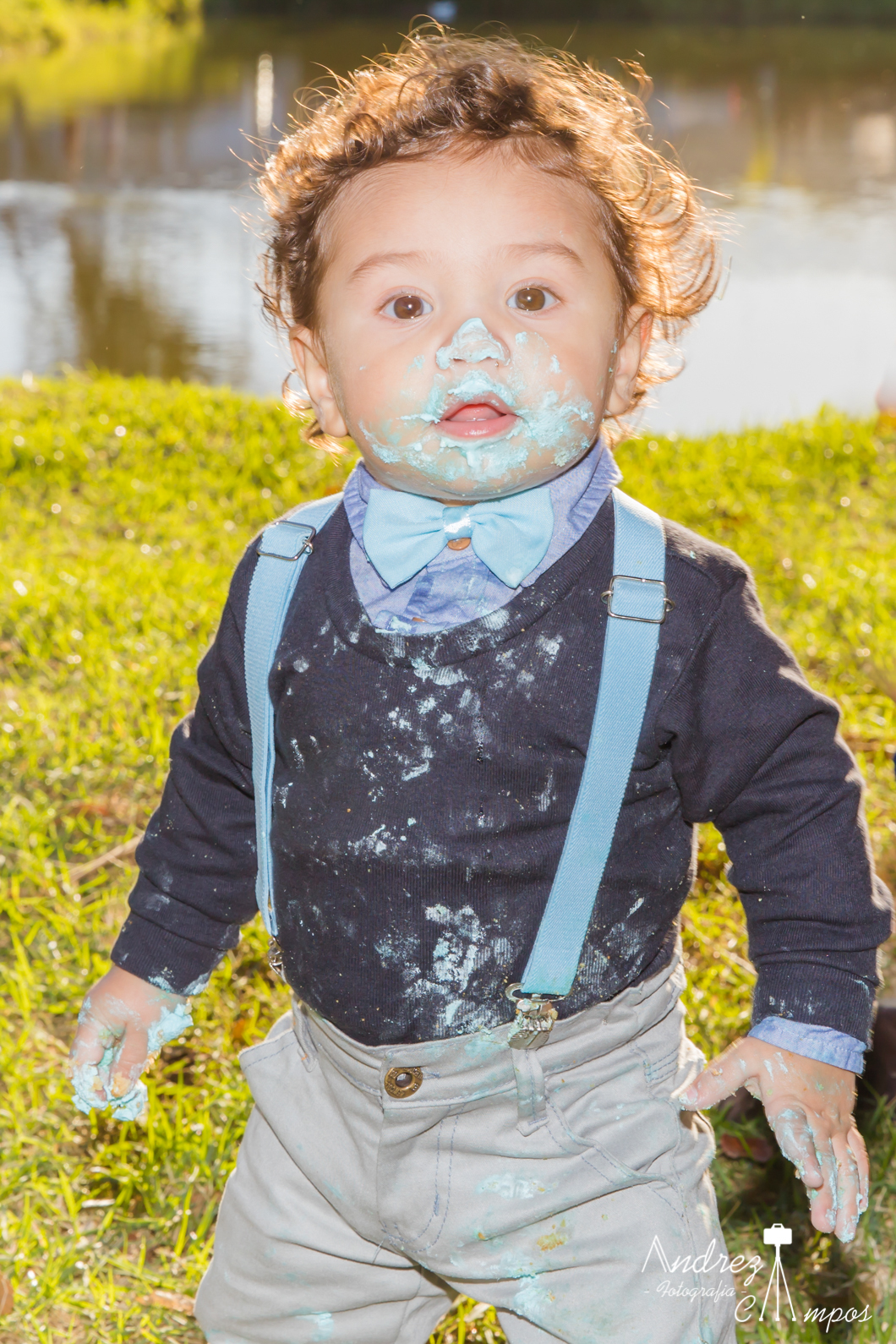 decoração smash the cake mundo bita