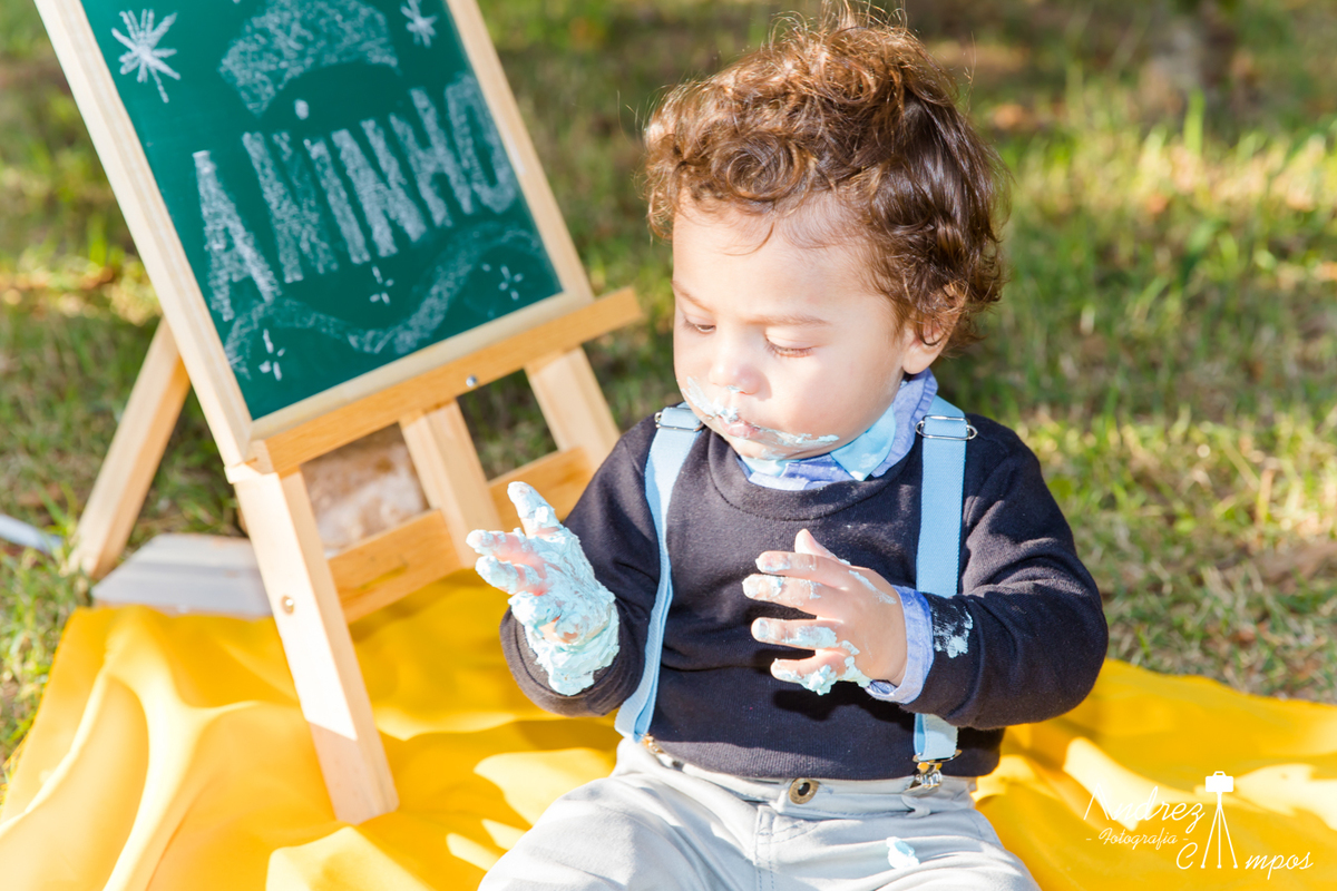 smash the cake menina