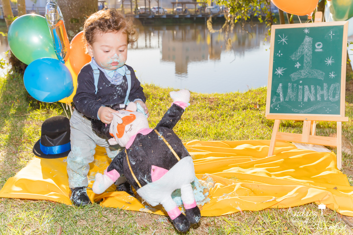 smash the cake mundo bita