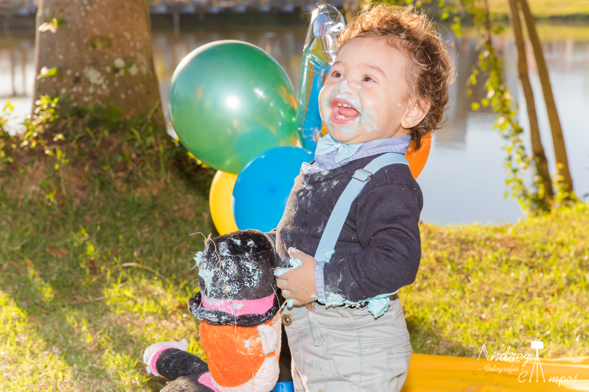 decoração smash the cake mundo bita