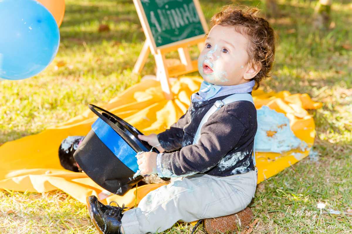decoração smash the cake mundo bita menino