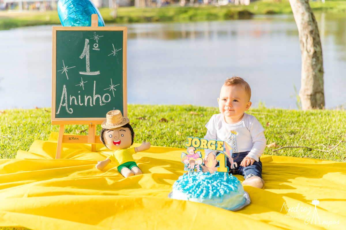 smash the cake mundo bita menino