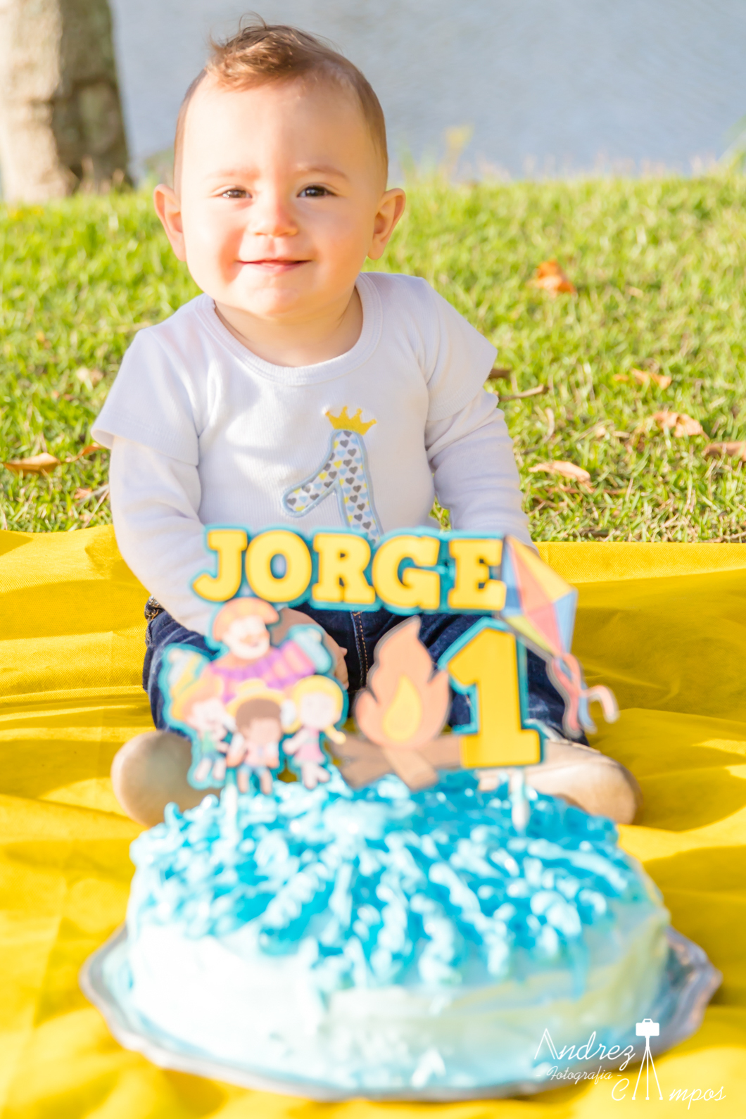 smash the cake mundo bita