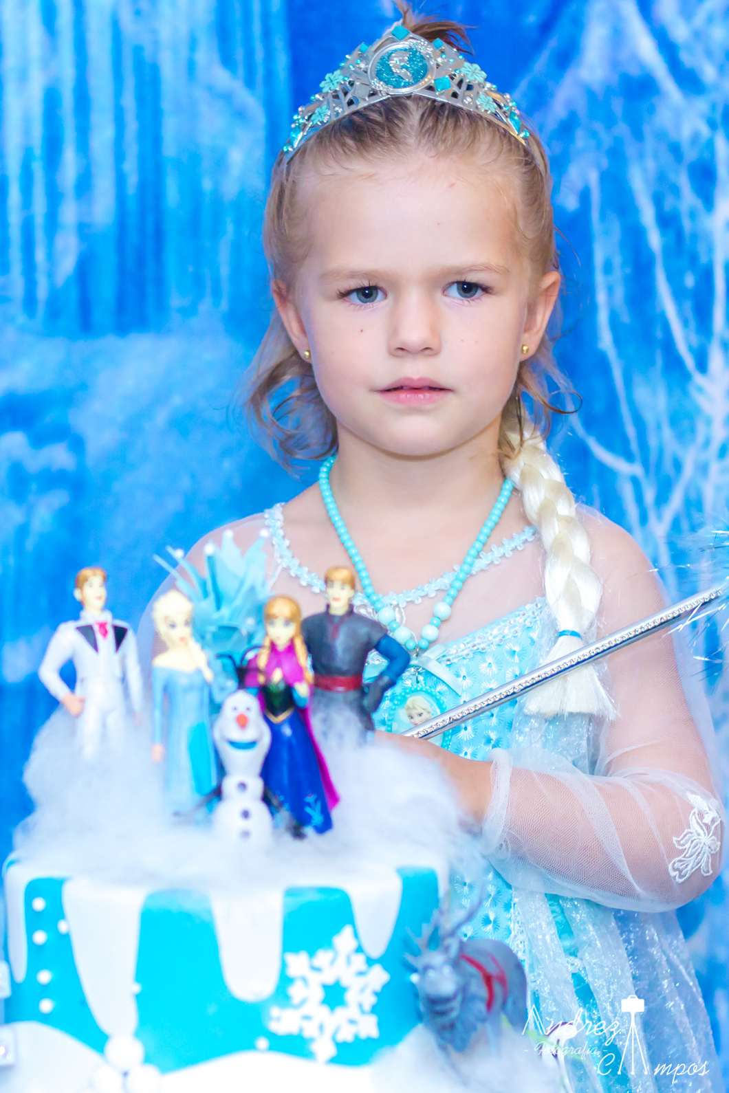 festa frozen