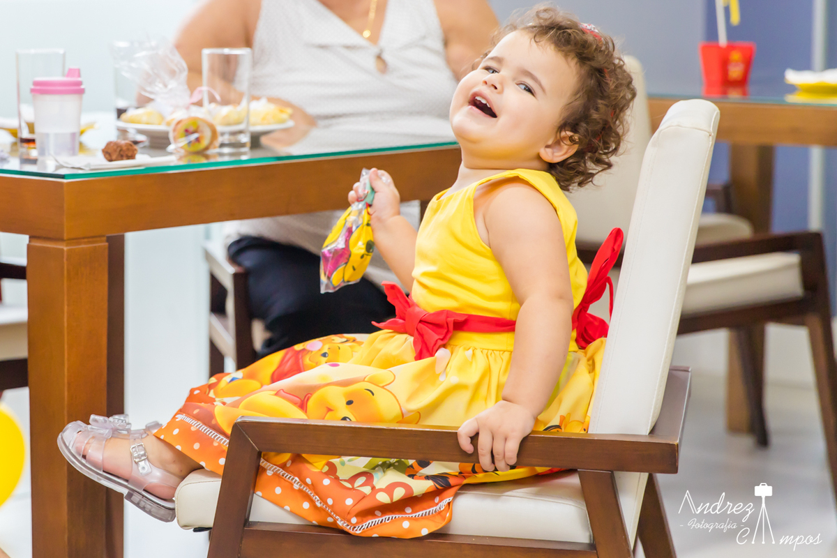 aniversario ursinho pooh menina