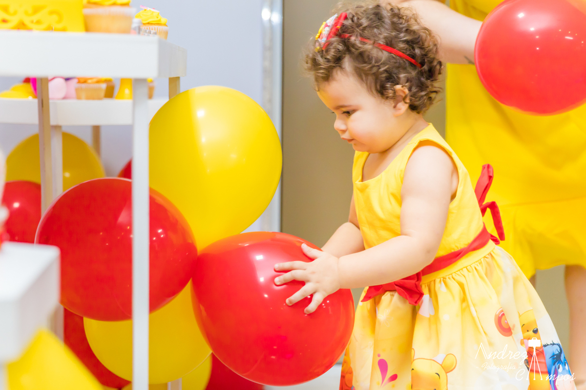 vestido aniversario ursinho pooh