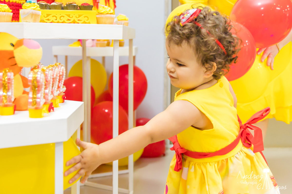 vestido aniversario ursinho pooh