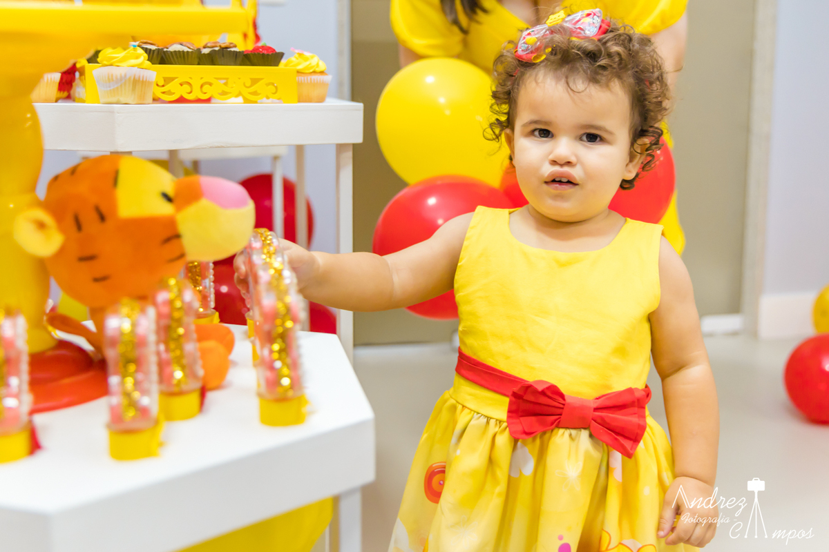 vestido aniversario ursinho pooh