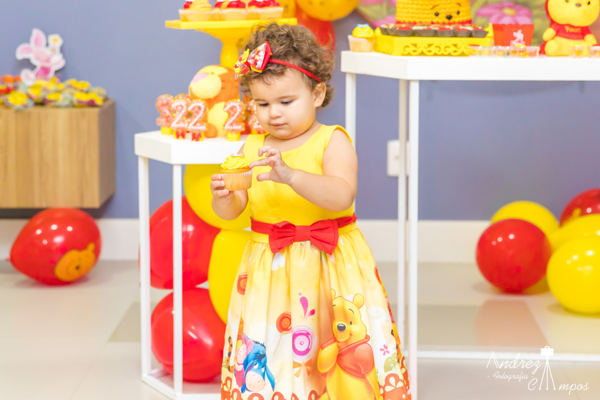 vestido aniversario ursinho
