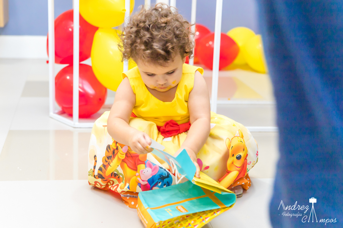 aniversario ursinho pooh menina