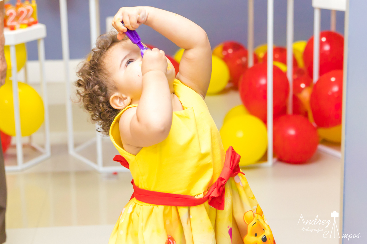 vestido aniversario ursinho pooh