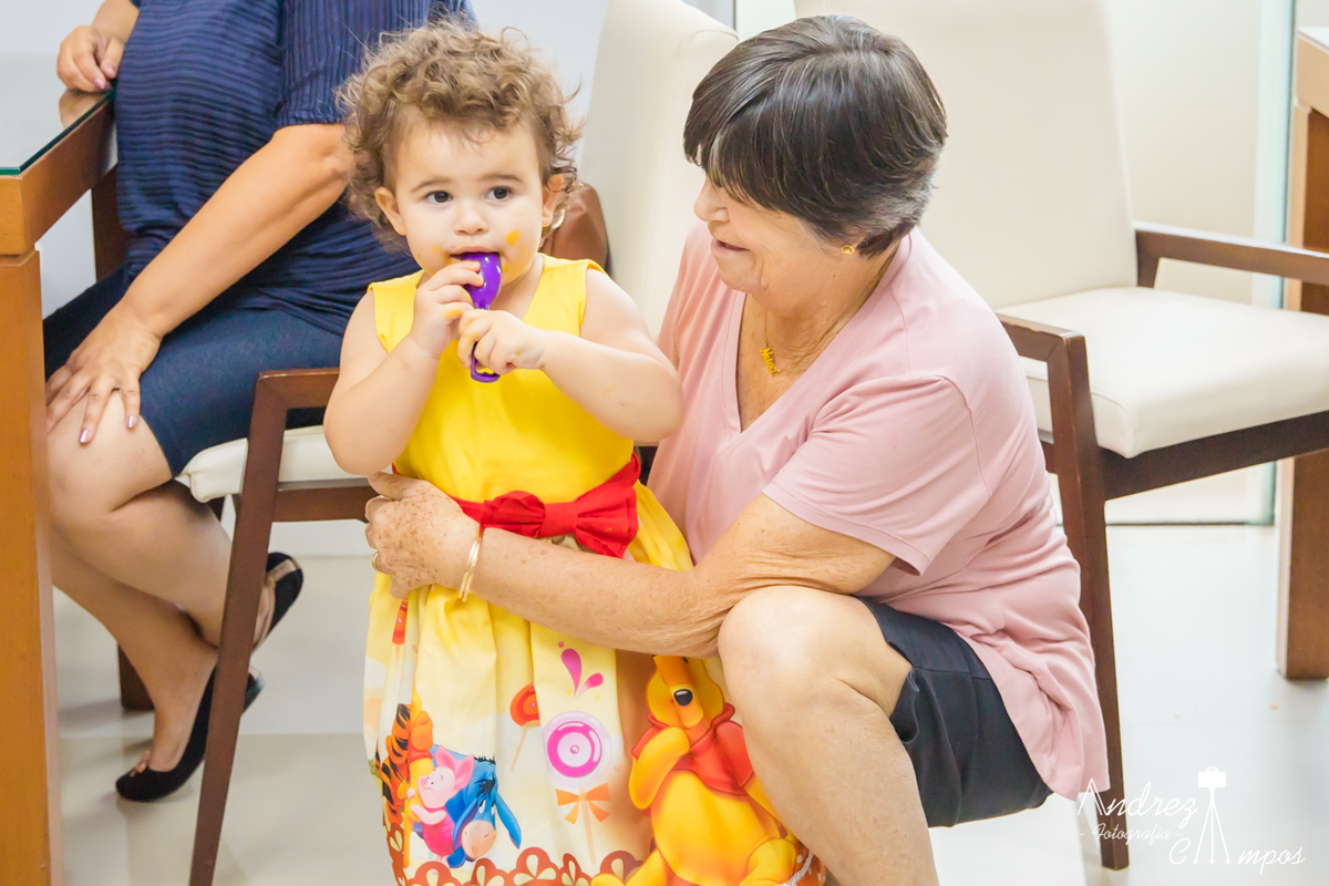 vestido aniversario ursinho pooh