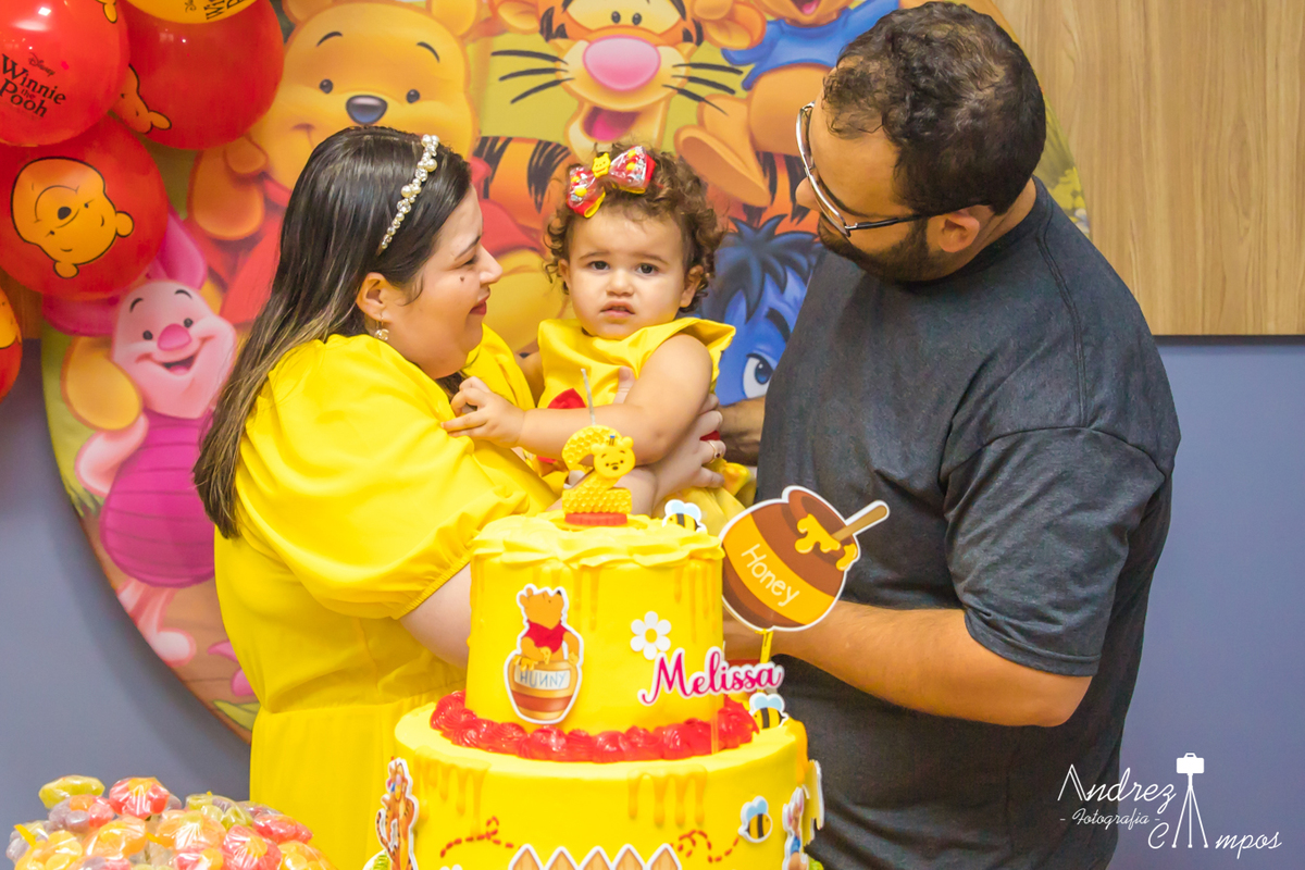 aniversario ursinho pooh menina