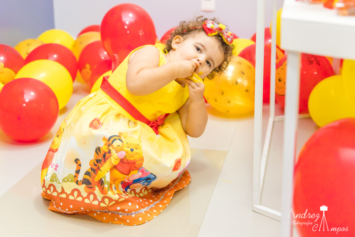 vestido aniversario ursinho