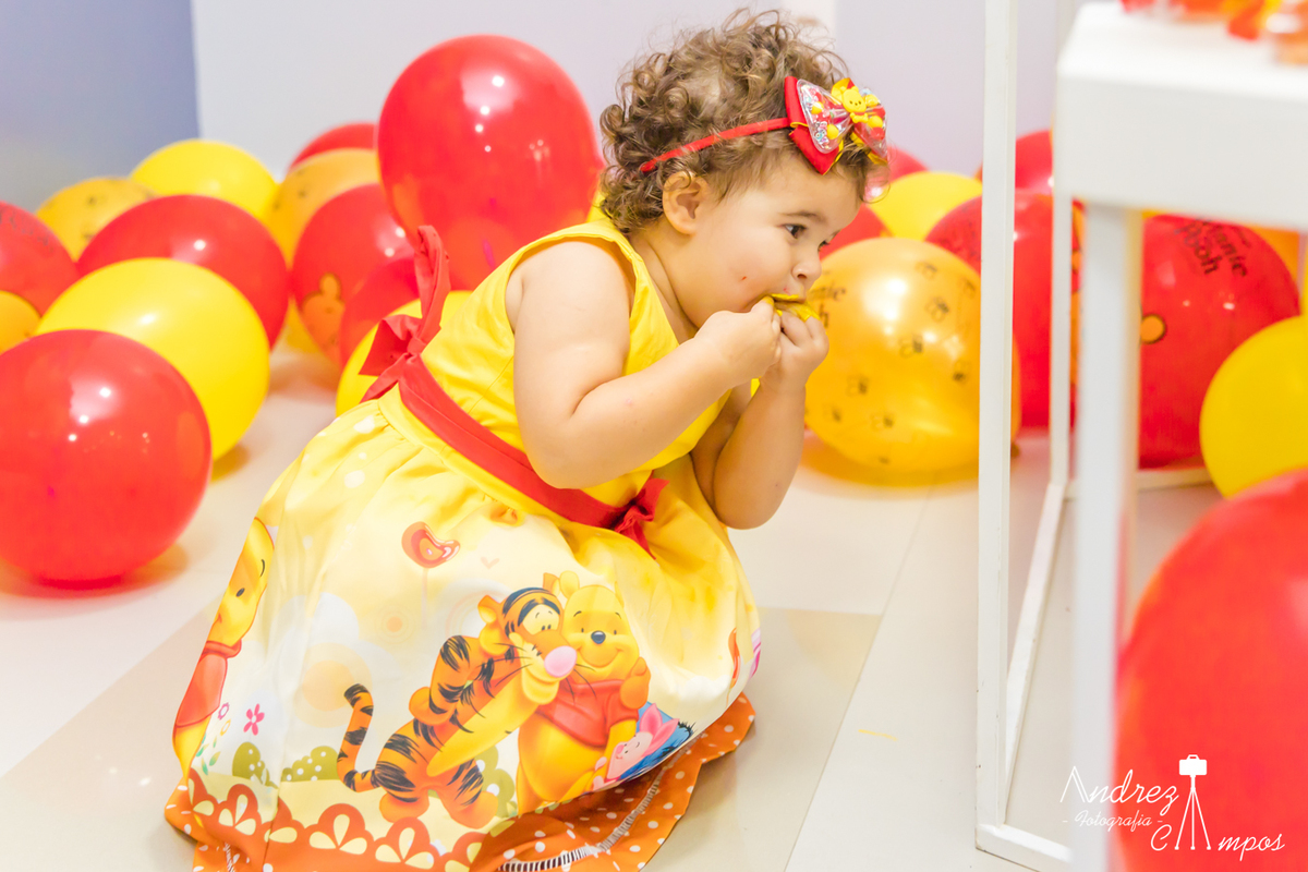 vestido aniversario ursinho