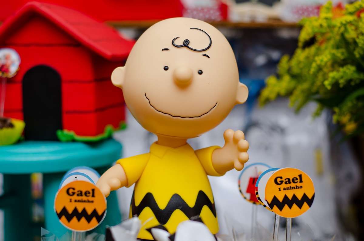 fotografia-festa-infantil-rj-decoracao-tema-snoop-chalie-1-ano-taquara