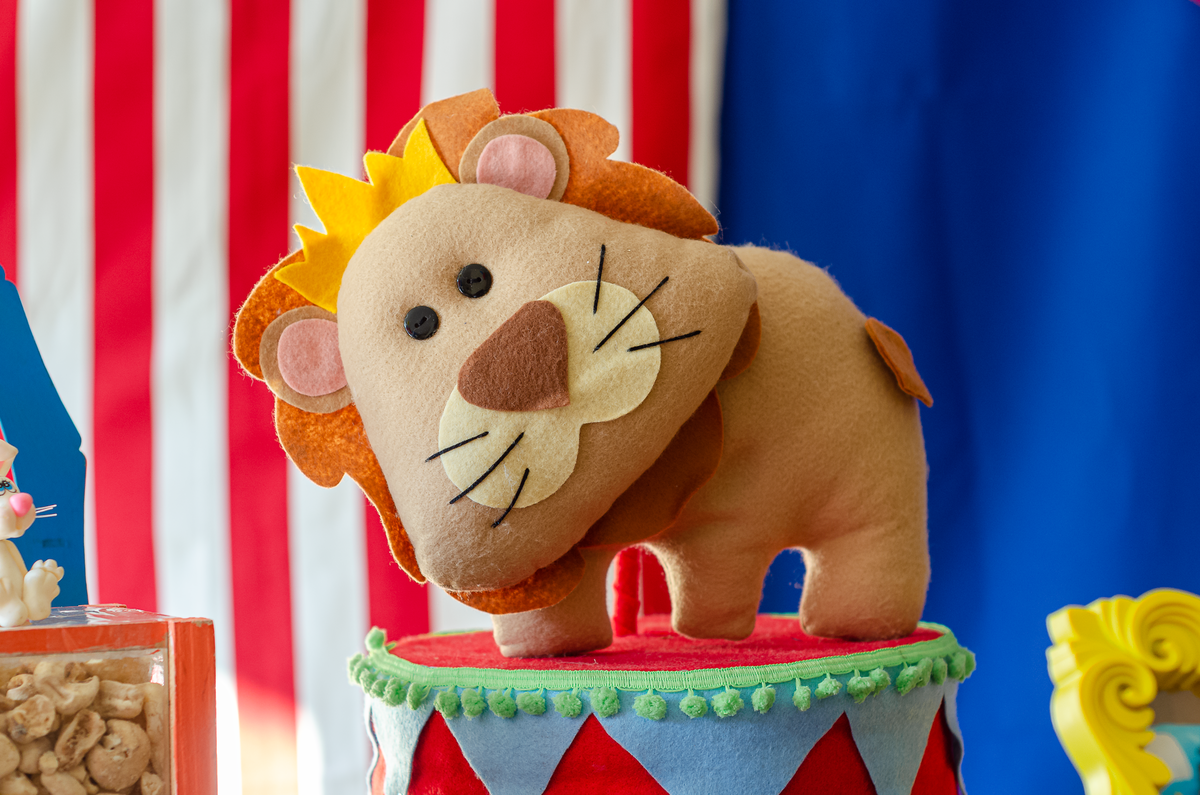 fotografia-festa-infantil-rj-decoracao-tema-circo-1-ano-meier-cachambi