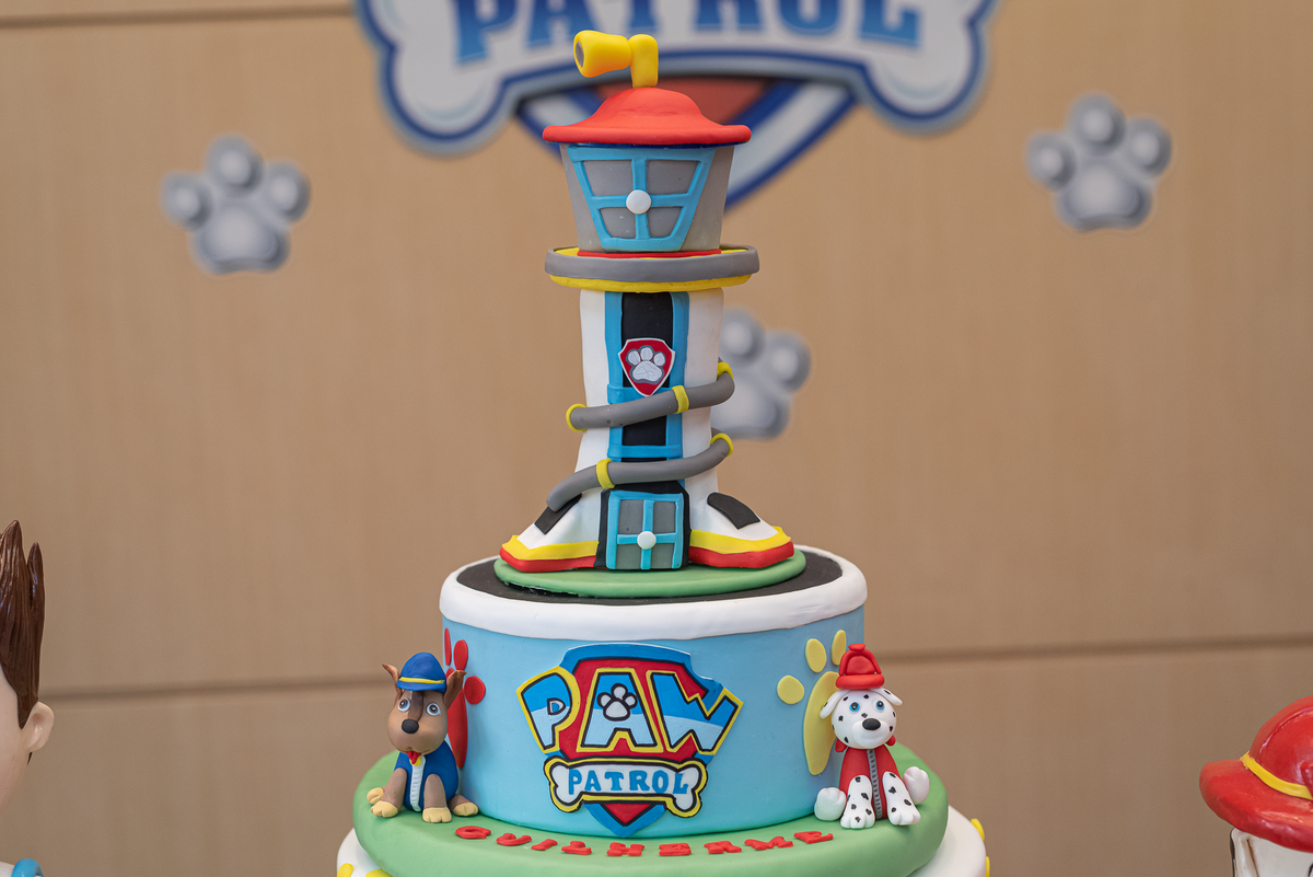fotografia-de-festa-infantil-rj-4 anos-decoracao-tema-patrulha-canina-paw-patrol-casa-de-festas-espaco-animania-botafogo