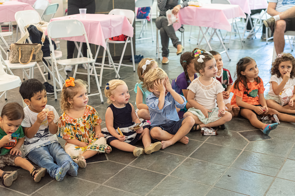 fotografia-de-festa-infantil-rj-4-anos-decoracao-tema-frozen-elsa-e-ana-tijuca