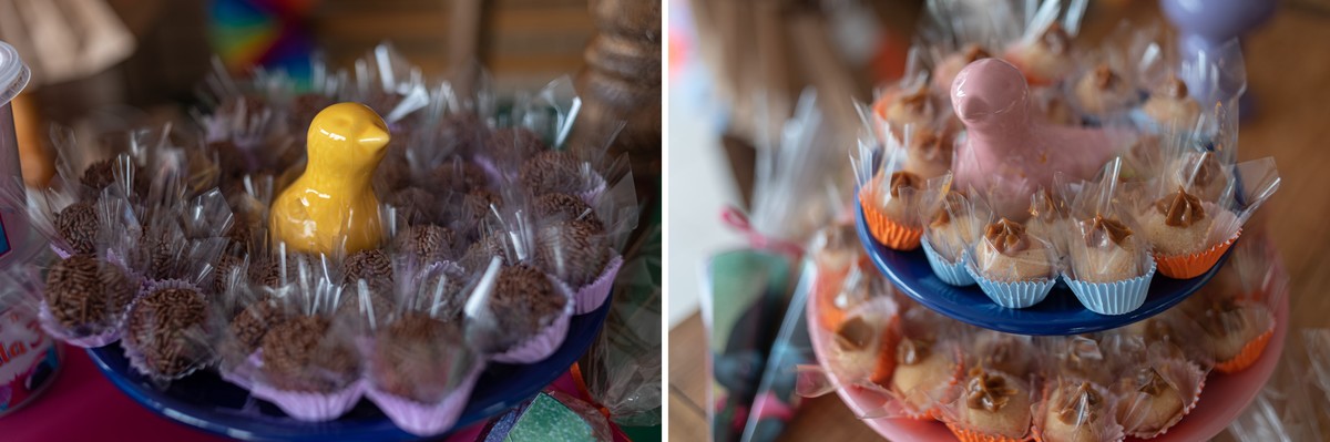 fotografia-de-festa-infantil-rj-3-anos-decoracao-tema-trolls-ilha-do-governador