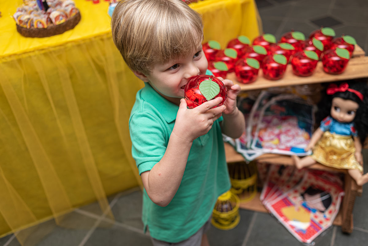 fotografia-de-festa-infantil-rj-2-anos-tema-decoracao-branca-de-neve