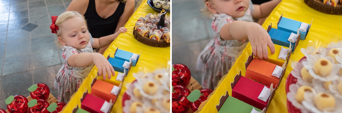 fotografia-de-festa-infantil-rj-2-anos-tema-decoracao-branca-de-neve