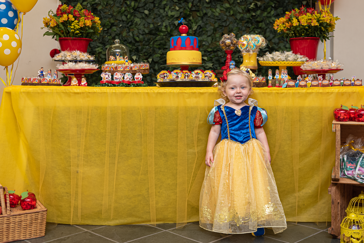 fotografia-de-festa-infantil-rj-2-anos-tema-decoracao-branca-de-neve