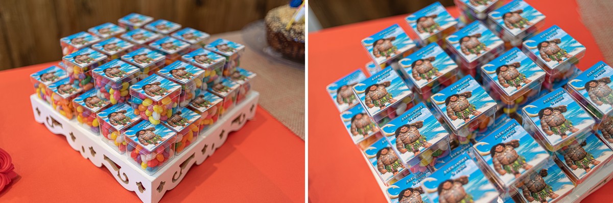fotografia-de-festa-infantil-rj-2-anos-decoracao-tema-moana-tijuca