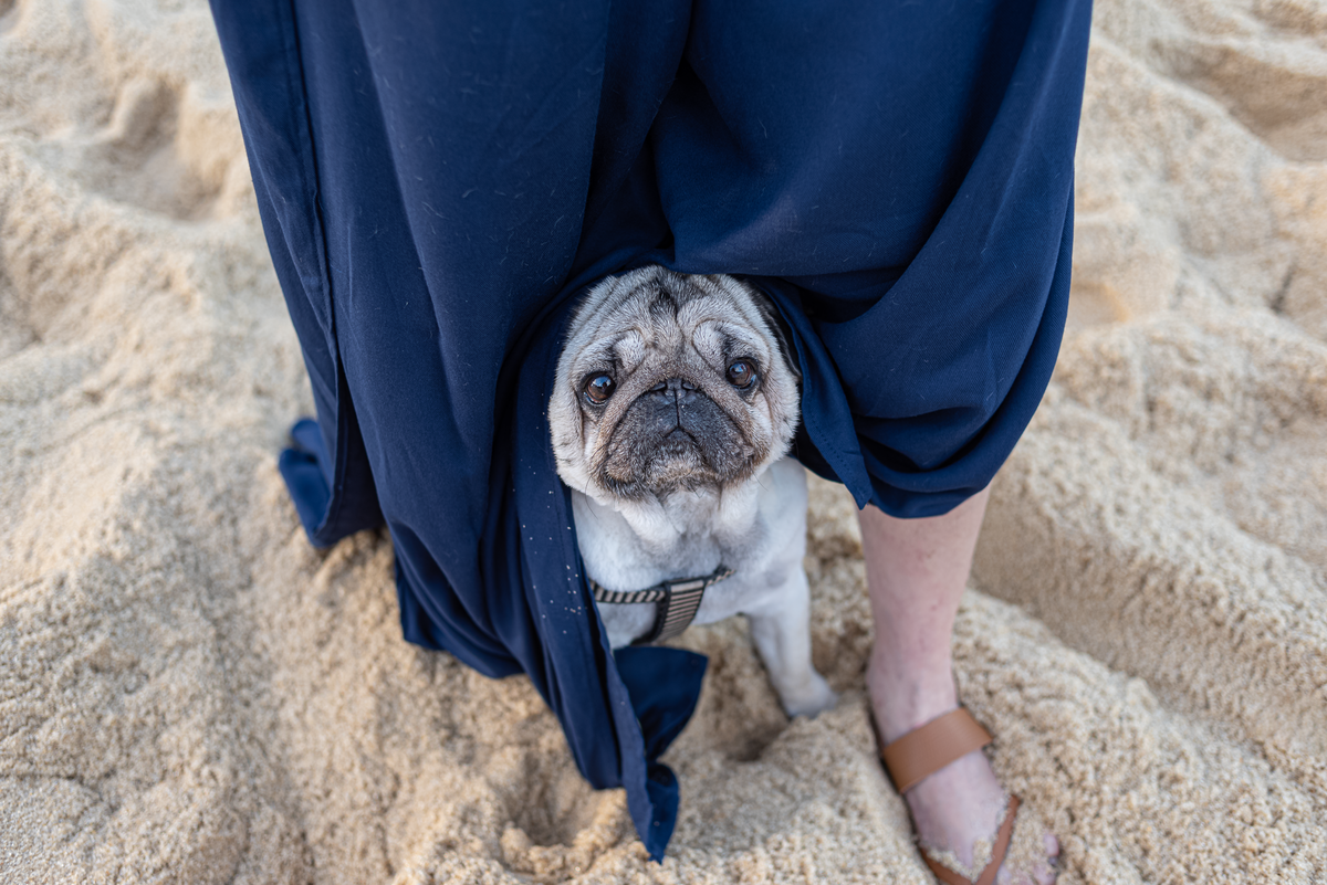 ensaio-externo-de-gestante-rj-praia-vermelha-mureta-da-urca-por-do-sol
