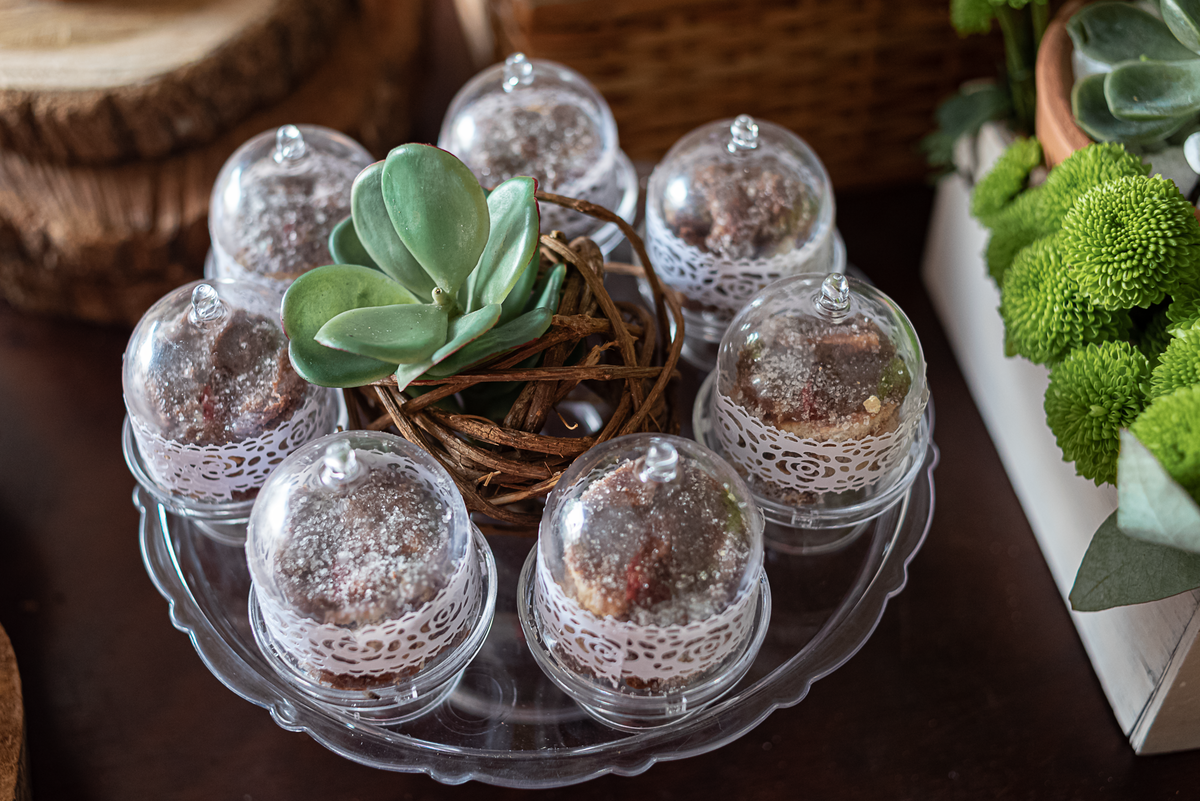 cha-de-bebe-menina-rj-suculentas-tijuca