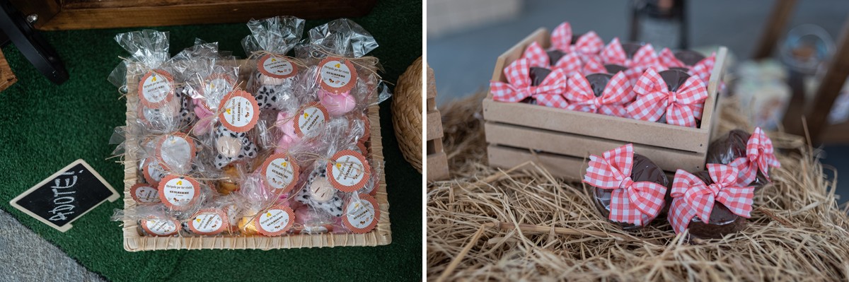 festa-infantil-rj-fazendinha-2-anos-ilha-do-governador