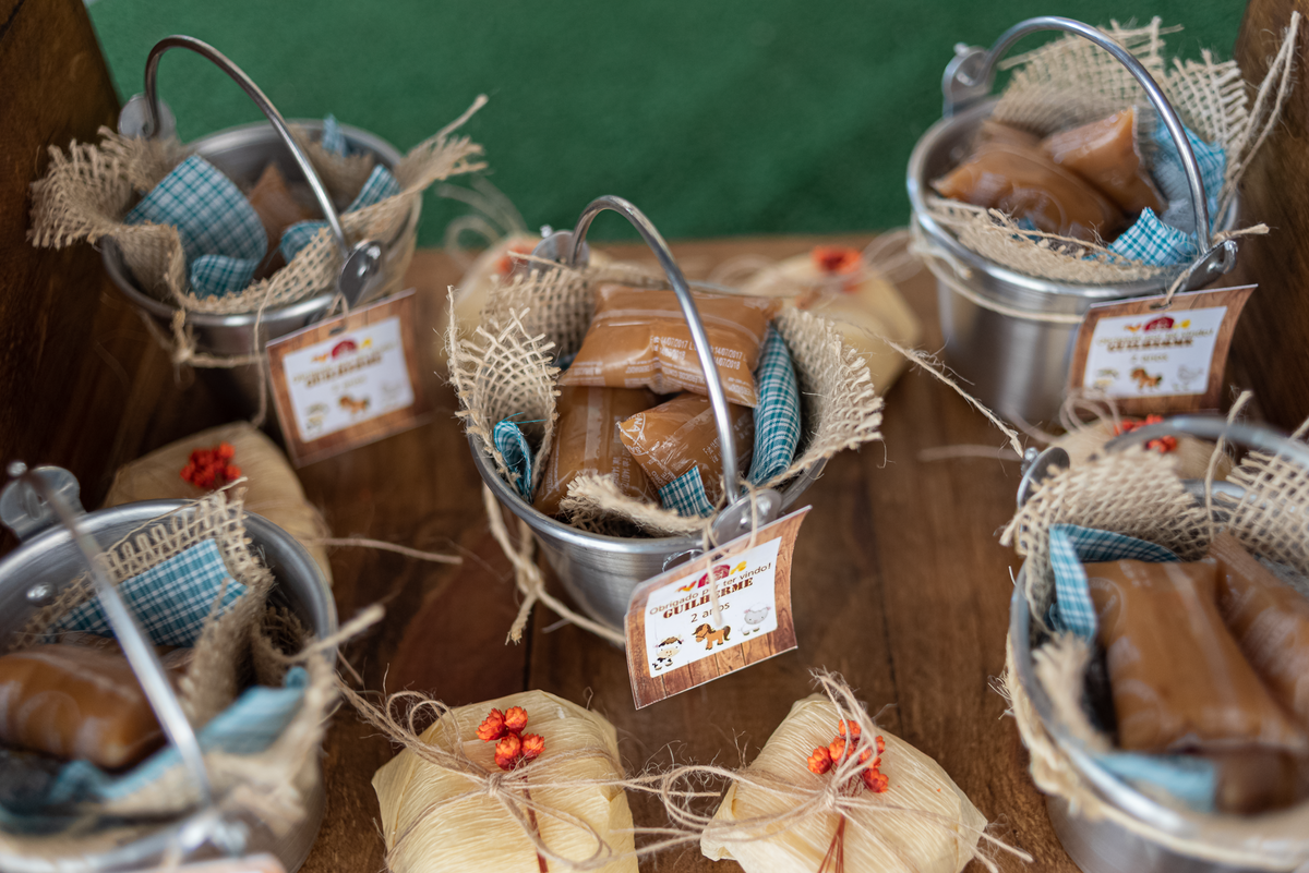 festa-infantil-rj-fazendinha-2-anos-ilha-do-governador