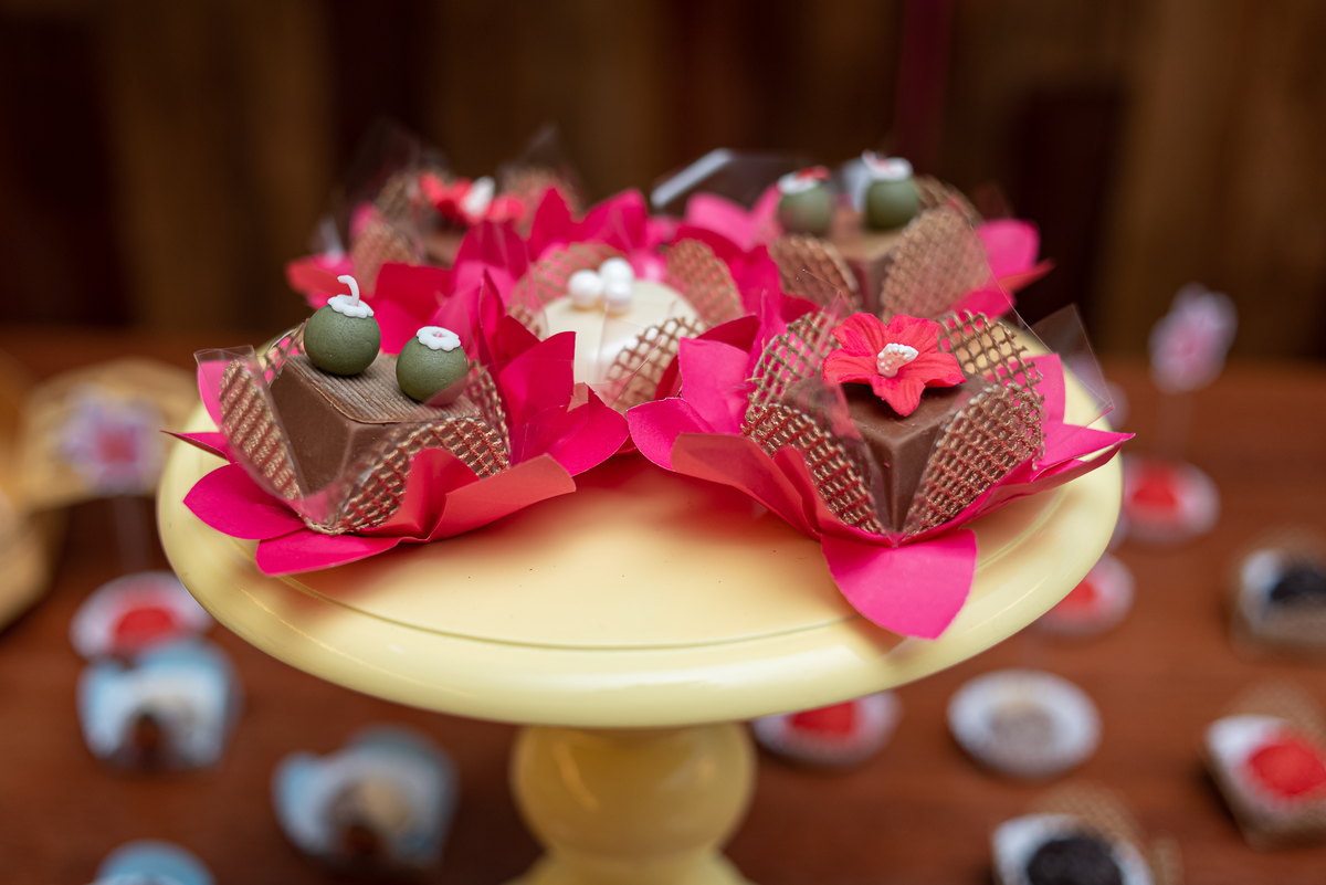 fotografia-festa-infantil-rj-tema-moana-4-anos-casa-gavea