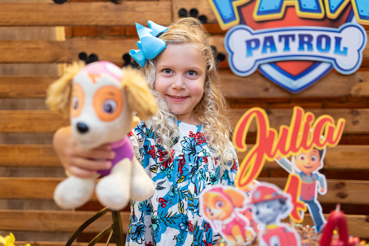 festa-infantil-rj-4-8-anos-patrulha-canina-paw-patrol-irmaos-menino-menina-leblon