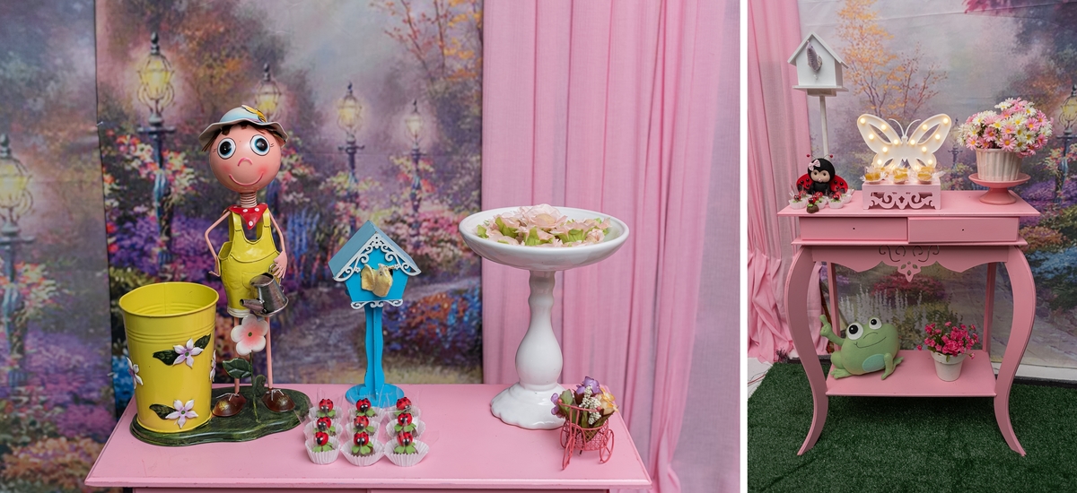 fotografia-de-festa-infantil-rj-1-ano-tema-decoracao-jardim-casa-de-festas-mamino-ilha-do-governador