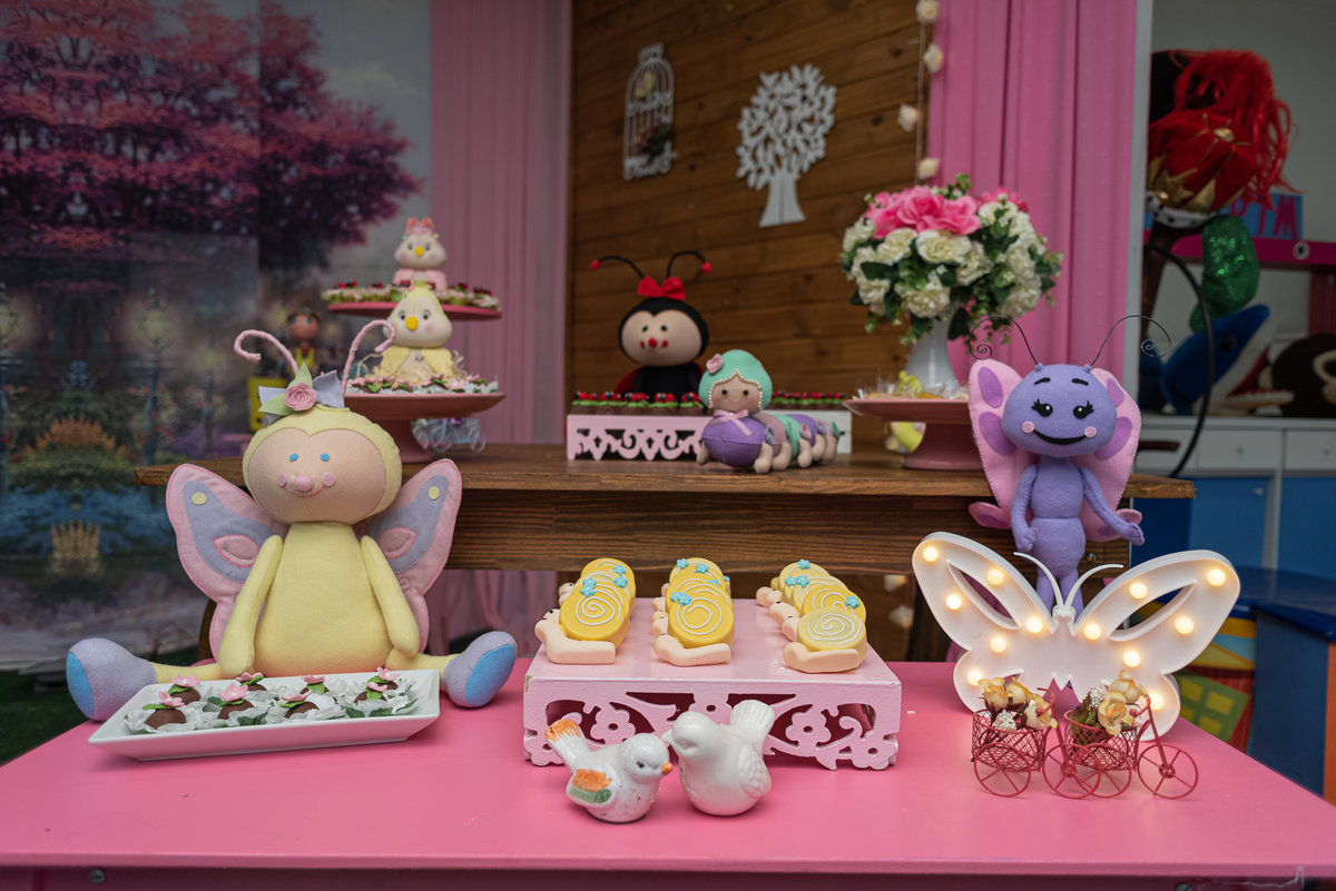 fotografia-de-festa-infantil-rj-1-ano-tema-decoracao-jardim-casa-de-festas-mamino-ilha-do-governador