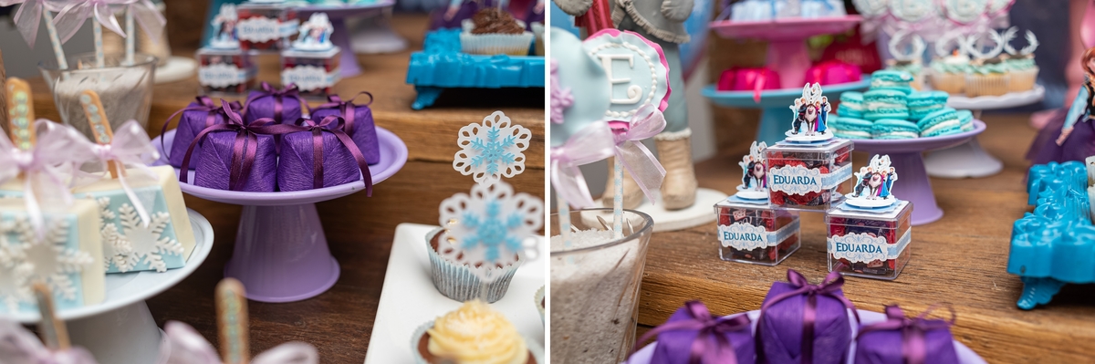 fotografia-de-festa-infantil-rj-4-anos-decoracao-tema-frozen-ana-e-elza-casa-de-festas-vila-das-pitangas-tijuca