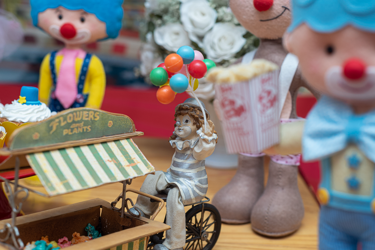 fotografia-de-festa-infantil-rj-tema-decoracao-circo-palhaco-2-ano-menina-taquara-jacarepagua