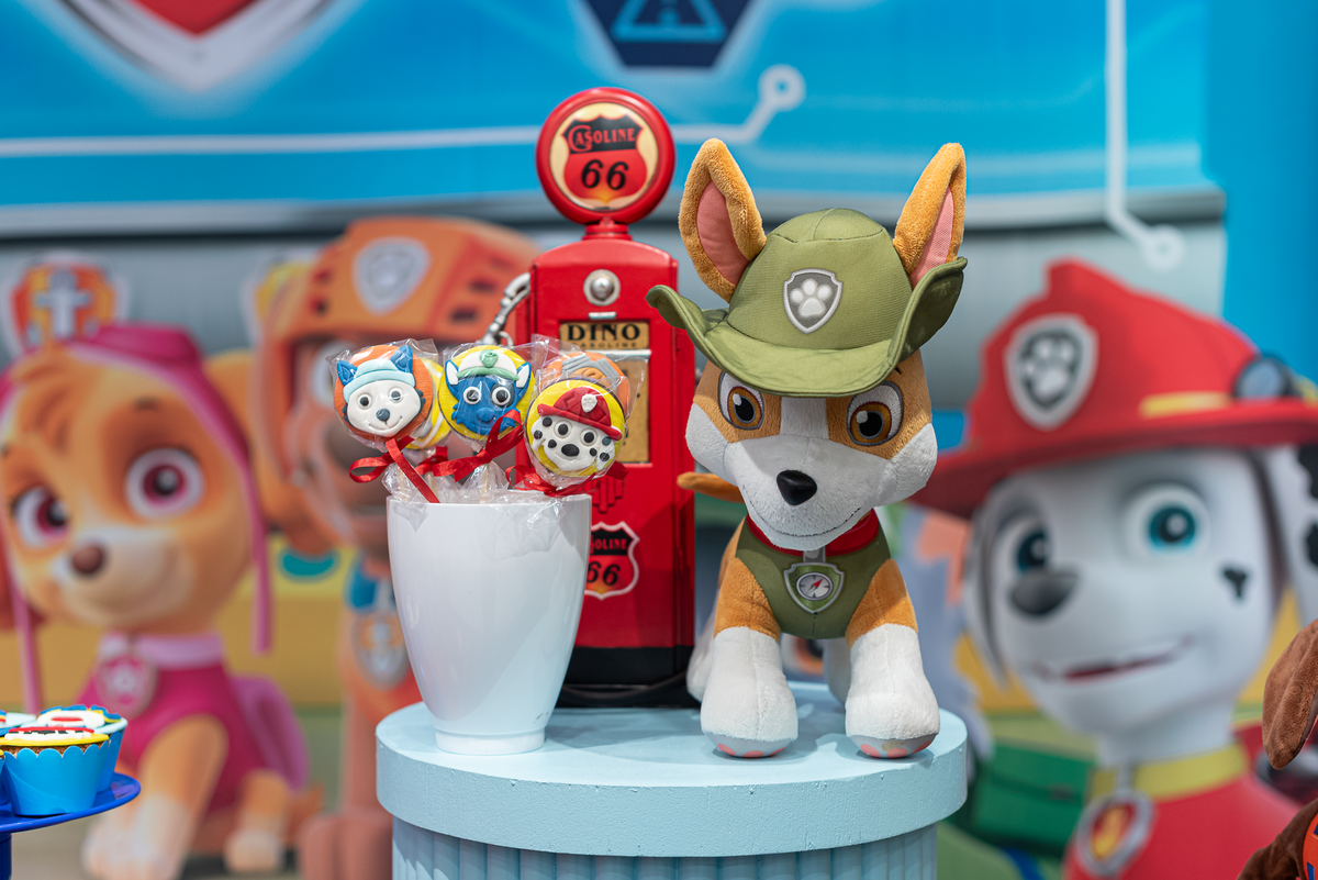 festa-infantil-rj-tema-decoraca-patrulha-canina-paw-patrol-casa-de-festas-baladaue-meier4-anos-menino