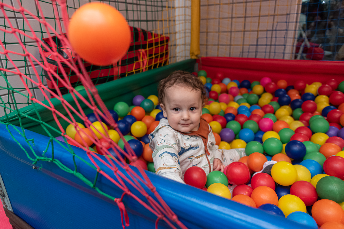 festa-infantil-rj-um-ano-menino-tema-decoracao-dinossauros-tijuca