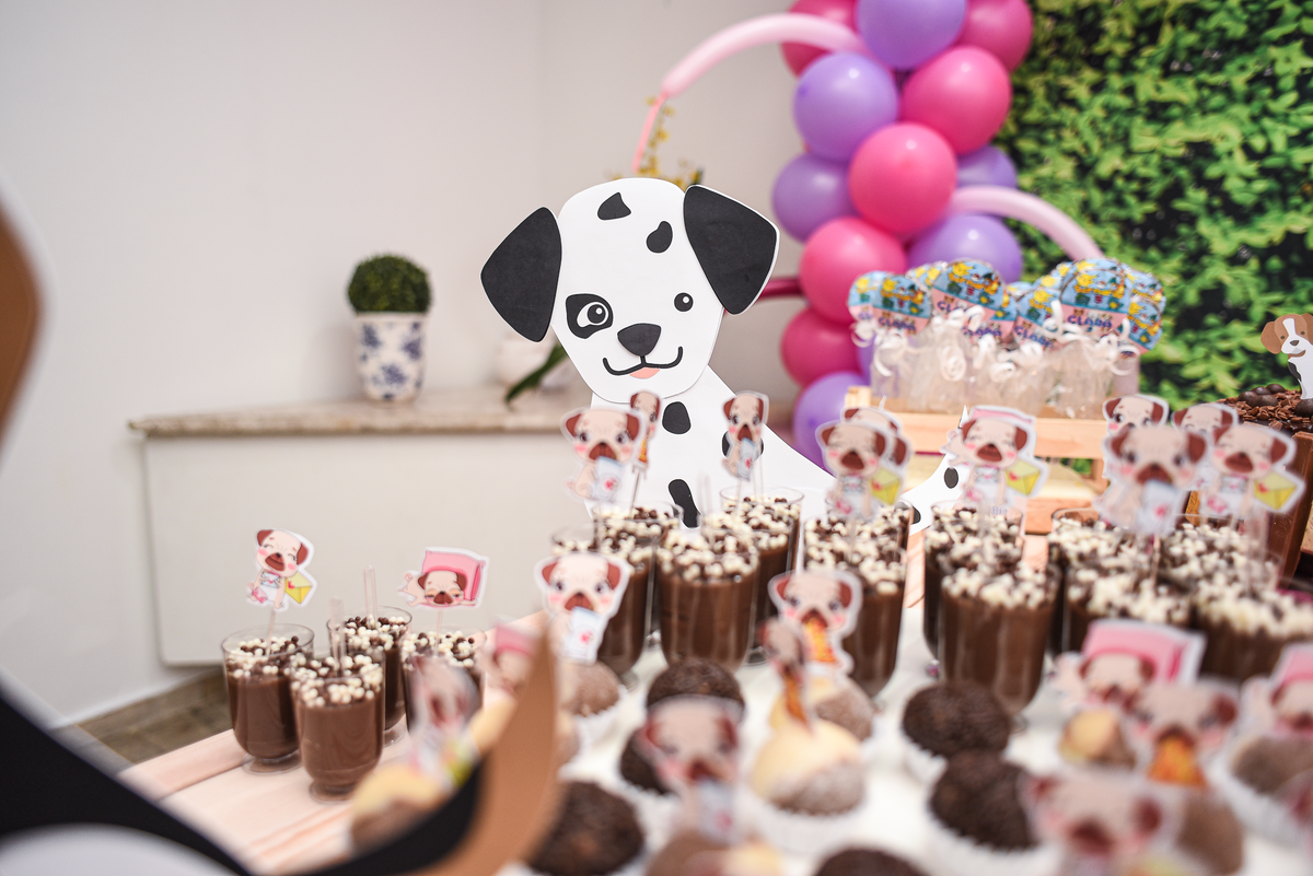 festa-infantil-rj-3-e-5-anos-menino-menina-irmaos-tema-decoracao-pokemon-cachorrinhos-laranjeiras