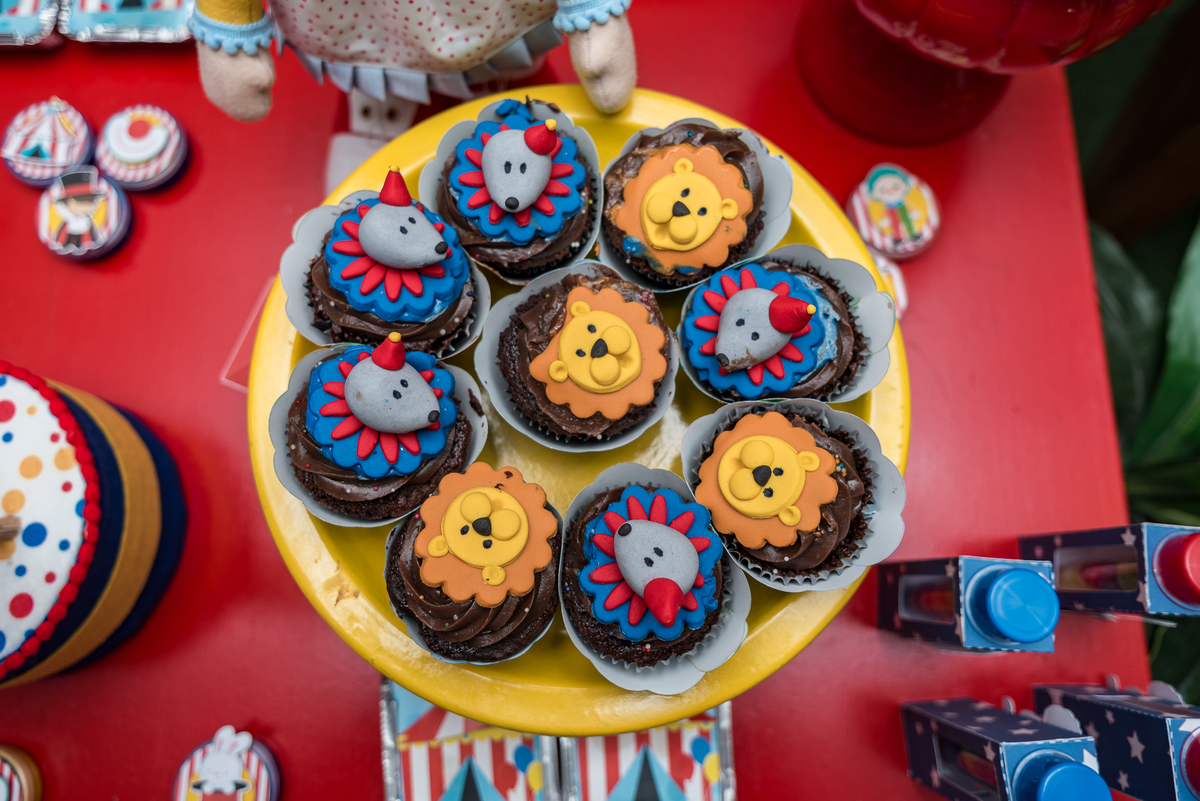 festa-infantil-rj-aniversario-menino-1-ano-tema-decoracao-circo