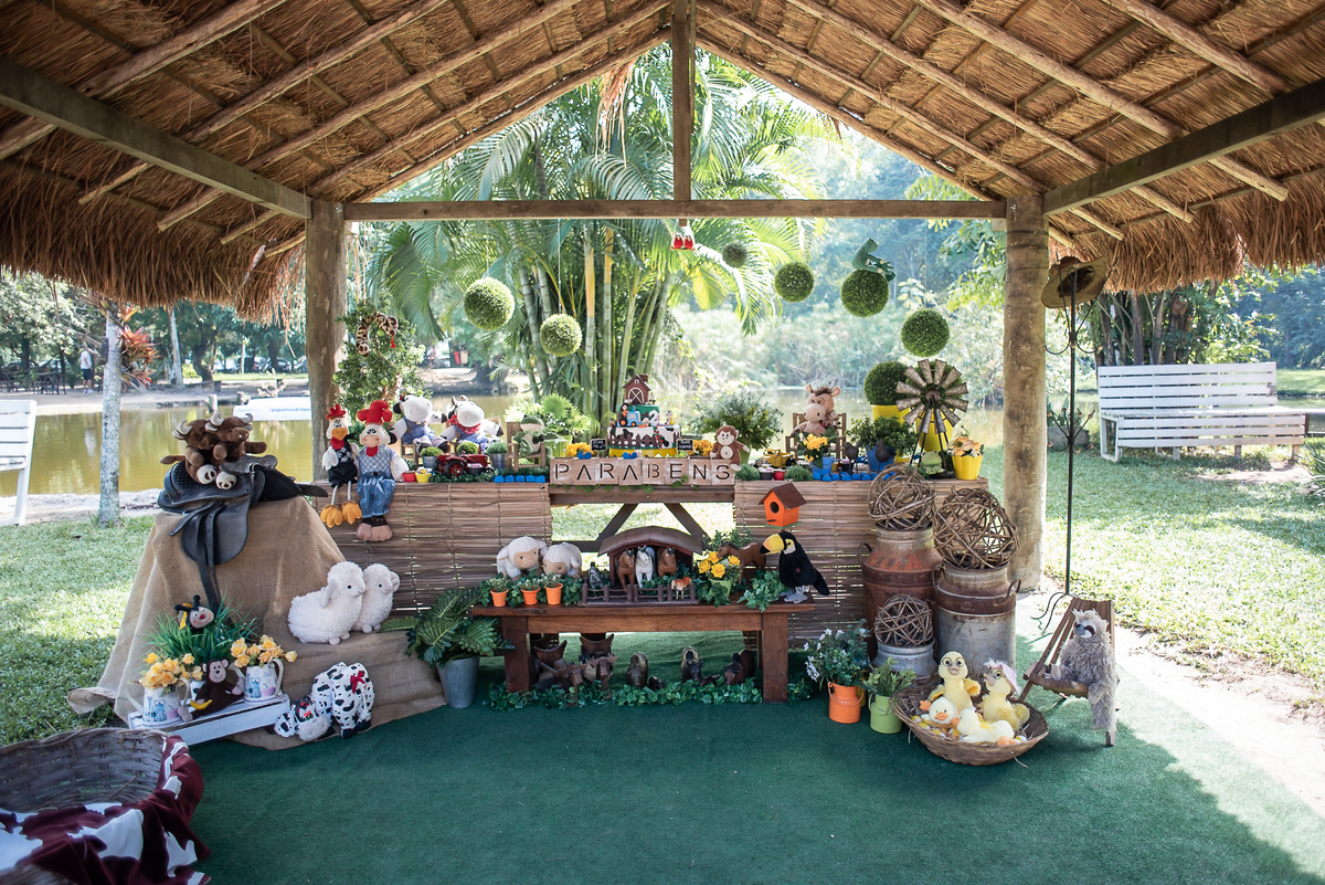 festa-infantil-rj-aniversario-menino-2-anos-fazendinha-rio-recreio-dos-bandeirantes-vargem-grande-festa-na-fazenda