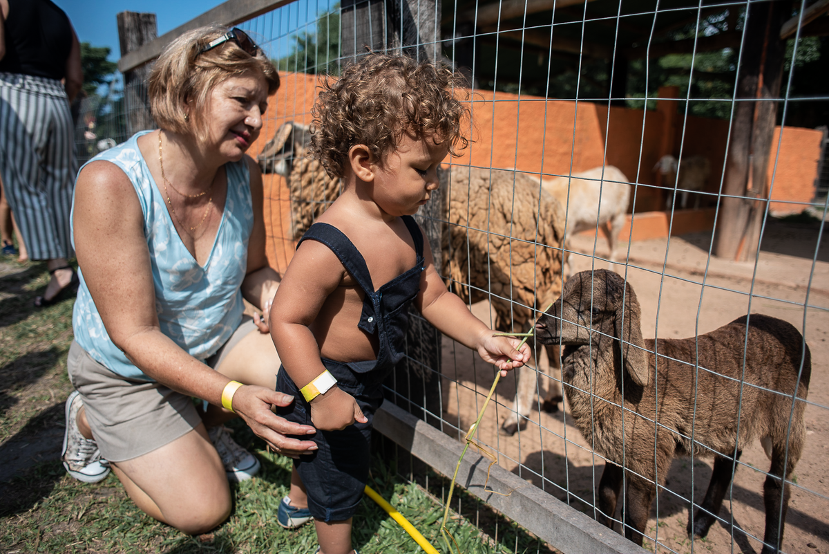 festa-infantil-rj-aniversario-menino-2-anos-fazendinha-rio-recreio-dos-bandeirantes-vargem-grande-festa-na-fazenda