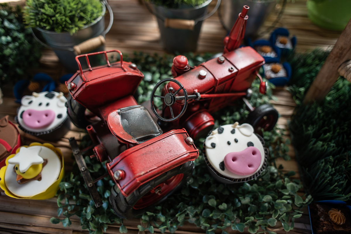 festa-infantil-rj-aniversario-menino-2-anos-fazendinha-rio-recreio-dos-bandeirantes-vargem-grande-festa-na-fazenda