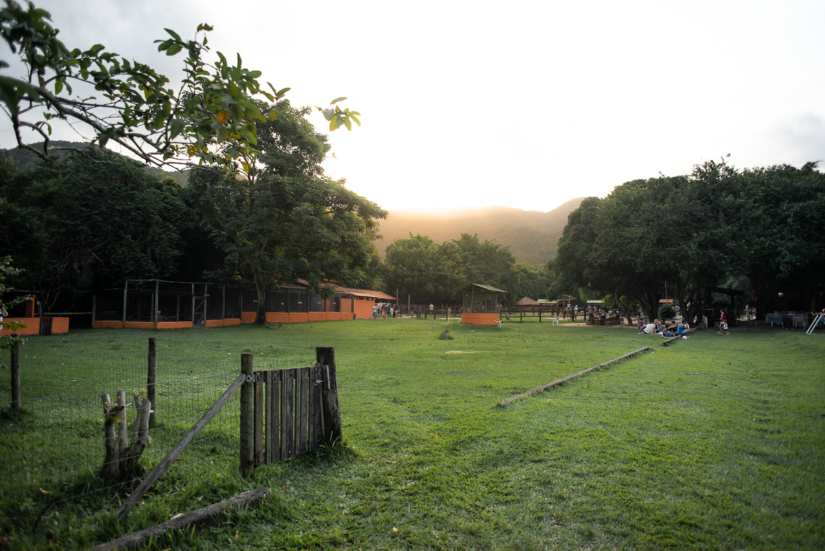 festa-infantil-rj-aniversario-menino-2-anos-fazendinha-rio-recreio-dos-bandeirantes-vargem-grande-festa-na-fazenda