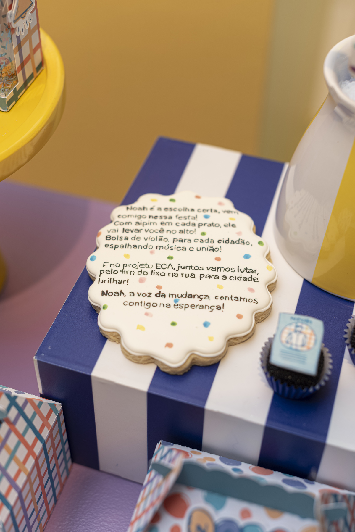 festa-infantil-rj-tema-decoracao-prefeito-vereador-politico-2-anos-menino-leblon