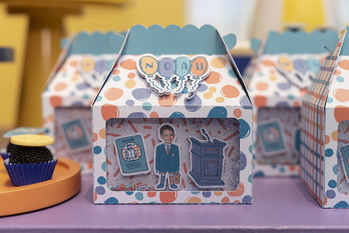 festa-infantil-rj-tema-decoracao-prefeito-vereador-politico-2-anos-menino-leblon