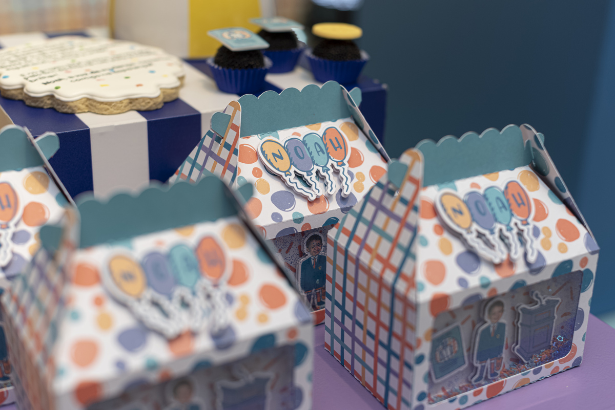 festa-infantil-rj-tema-decoracao-prefeito-vereador-politico-2-anos-menino-leblon